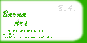 barna ari business card